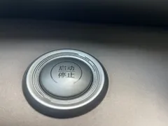 2023 BYD Dolphin 420km Freedom — фото 24