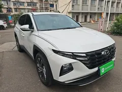 2021 Hyundai Tucson 1.5T DCT GLX Elite, белый — фото 4