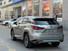 2020 Lexus RX 300 2WD Elite — фото 9