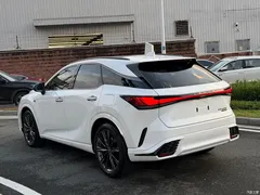 2023 Lexus RX 500h 4WD F SPORT Performance, белый — фото 12