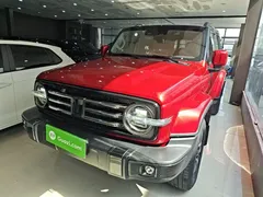 2021 Tank 300 City 2.0T — фото 2