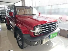 2021 Tank 300 City 2.0T — фото 4
