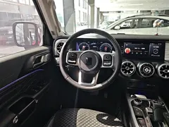 2021 Tank 300 City 2.0T — фото 11