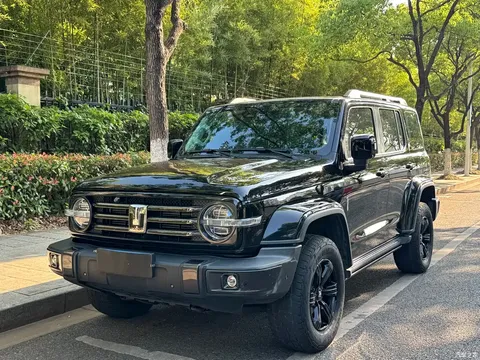 2021 Tank 300 City 2.0T Very Stylish