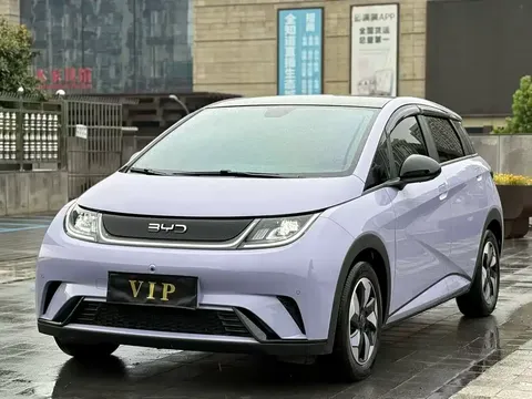 2024 BYD Dolphin Honor 420km Fashion