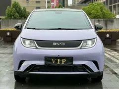 2024 BYD Dolphin Honor 420km Fashion — фото 2