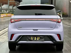 2024 BYD Dolphin Honor 420km Fashion — фото 5