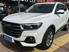 2021 Haval H6 1.5GDIT AT Luxury, белый — фото 1