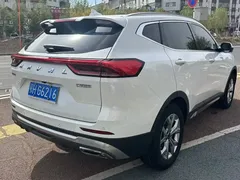 2021 Haval H6 1.5GDIT AT Luxury, белый — фото 3