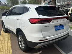 2021 Haval H6 1.5GDIT AT Luxury, белый — фото 4