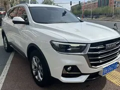 2021 Haval H6 1.5GDIT AT Luxury, белый — фото 6