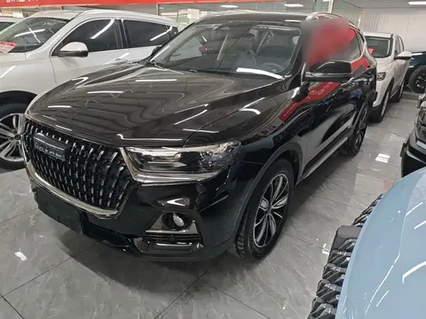 2023 Haval H6 1.5T AT Guochao Champion