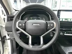 2022 Haval Chitu 1.5T, белый — фото 8