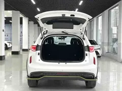 2022 Haval Chitu 1.5T, белый — фото 16