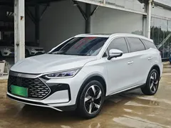 2024 BYD Tang 112KM — фото 1