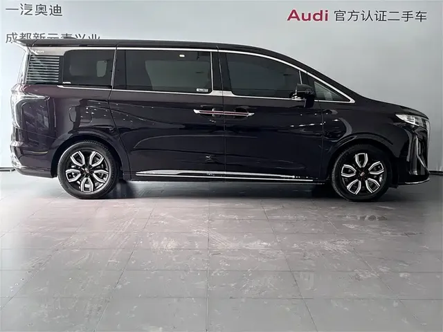 2023 Hongqi HQ9 2.0T