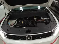 2021 Changan CS35 PLUS 1.6L MT Elite, белый — фото 20