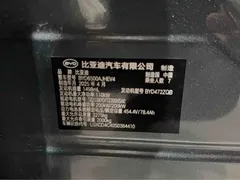 2025 BYD Tang L DM 175KM, зелёный — фото 16