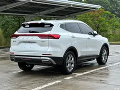 2021 Haval H6 Guochao 1.5T AT Champion, белый — фото 5