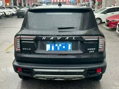 2022 Haval Havaldog 2.0T DCT 4WD Roaring Dog, чёрный — фото 9