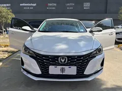 2021 Changan Raeton PLUS 1.5T DCT Flagship, белый — фото 13