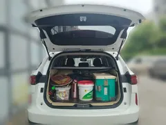 2021 Haval H6 1.5T AT 2WD Pro, белый — фото 10