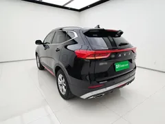 2021 Haval H6 Guochao 2.0GDIT AT Champion, чёрный — фото 23