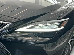 2021 Lexus LS 500h Excellence, чёрный — фото 23