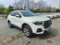 2021 Haval H6 1.5GDIT AT Guochao Champion, белый — фото 9