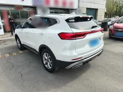 2021 Haval H6 1.5GDIT AT Guochao Champion, белый — фото 11