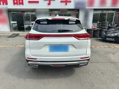 2021 Haval H6 1.5GDIT AT Guochao Champion, белый — фото 13