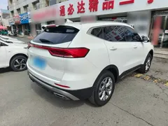 2021 Haval H6 1.5GDIT AT Guochao Champion, белый — фото 14