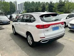 2021 Haval M6 Plus 1.5T DCT Elite, белый — фото 6