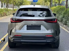 2023 Lexus NX 260 front-wheel drive Chuangyue — фото 8