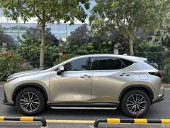 2023 Lexus NX 260 front-wheel drive Chuangyue — фото 10