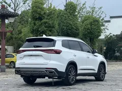 2022 Chery Tiggo 8 PRO 290T 2WD Haohan 5, белый — фото 6