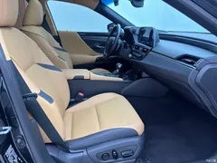 2021 Lexus ES 300h Excellence, чёрный — фото 21
