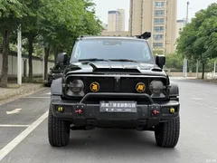 2021 Tank 300 Off-Road 2.0T Conqueror, чёрный — фото 2