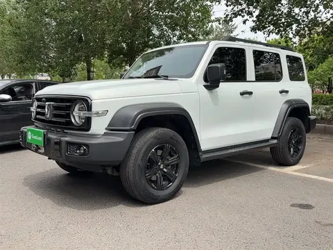2021 Tank 300 2.0T