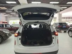2021 Haval H6 3rd Gen 2.0T AT 2WD Max, белый — фото 19