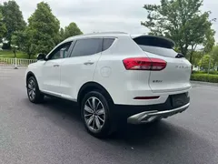 2021 Haval H6 1.5T AT Champion, белый — фото 7