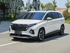 2021 Hyundai Custo 380TGDi Flagship TOP Premium, белый — фото 1