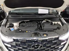 2021 Hyundai Custo 380TGDi Flagship TOP Premium, белый — фото 16