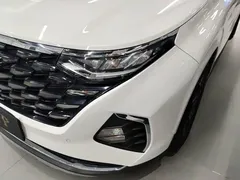 2021 Hyundai Custo 380TGDi Flagship TOP Premium, белый — фото 18