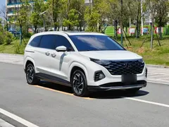 2021 Hyundai Custo 380TGDi Flagship TOP Premium, белый — фото 22