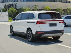 2021 Hyundai Custo 380TGDi Flagship TOP Premium, белый — фото 23