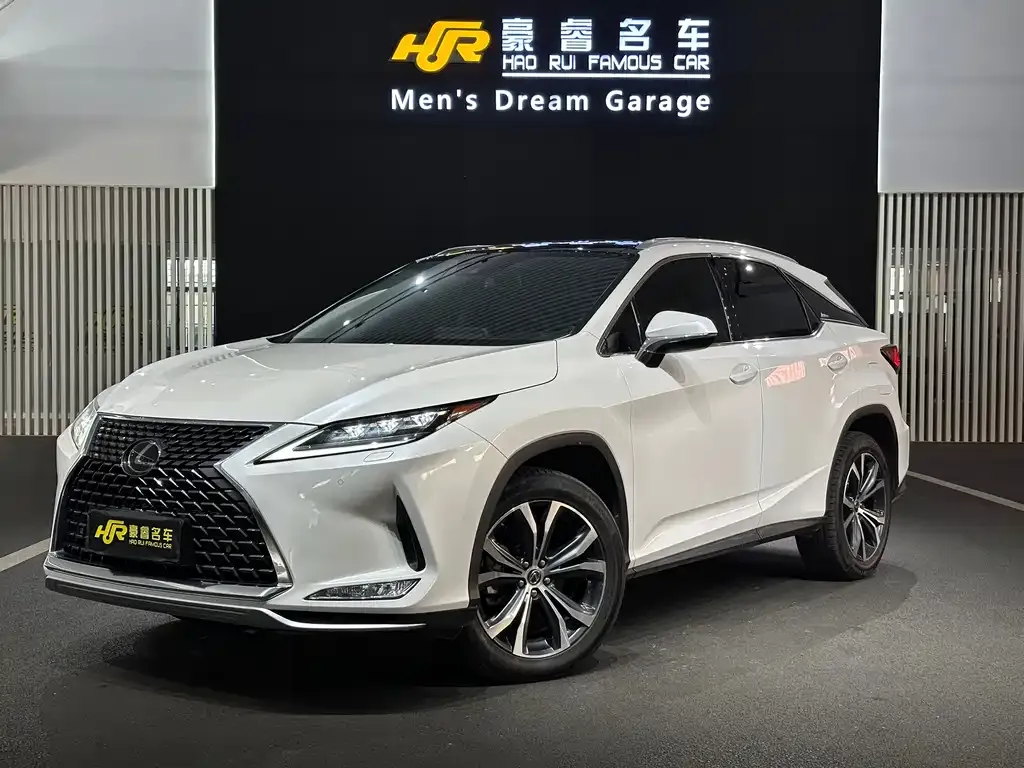 2020 Lexus RX 300 4WD VI