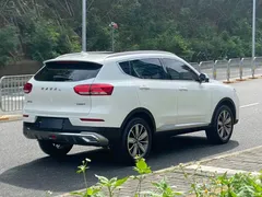 2020 Haval H6 2.0GDIT AT Platinum Champion, белый — фото 4