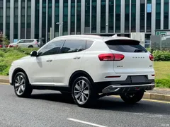 2020 Haval H6 2.0GDIT AT Platinum Champion, белый — фото 5