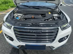 2020 Haval H6 2.0GDIT AT Platinum Champion, белый — фото 18